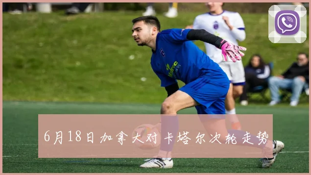 6月18日加拿大对卡塔尔次轮走势
