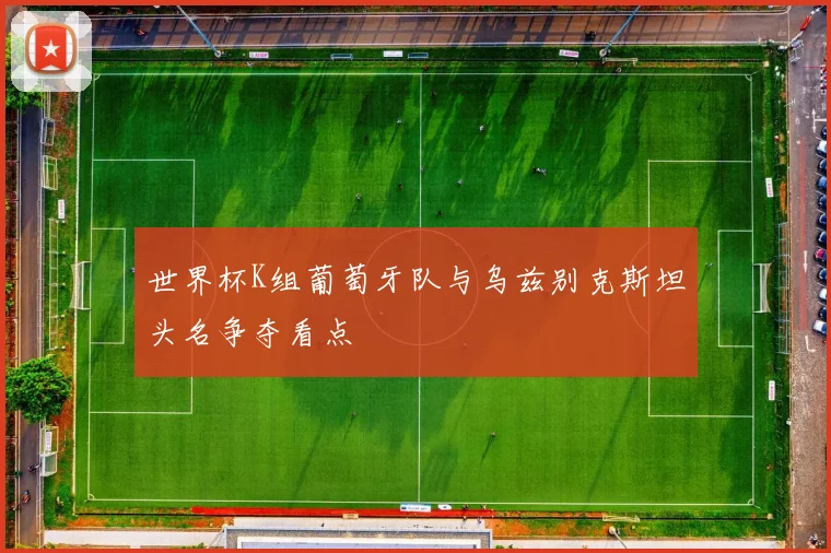 世界杯K组葡萄牙队与乌兹别克斯坦头名争夺看点